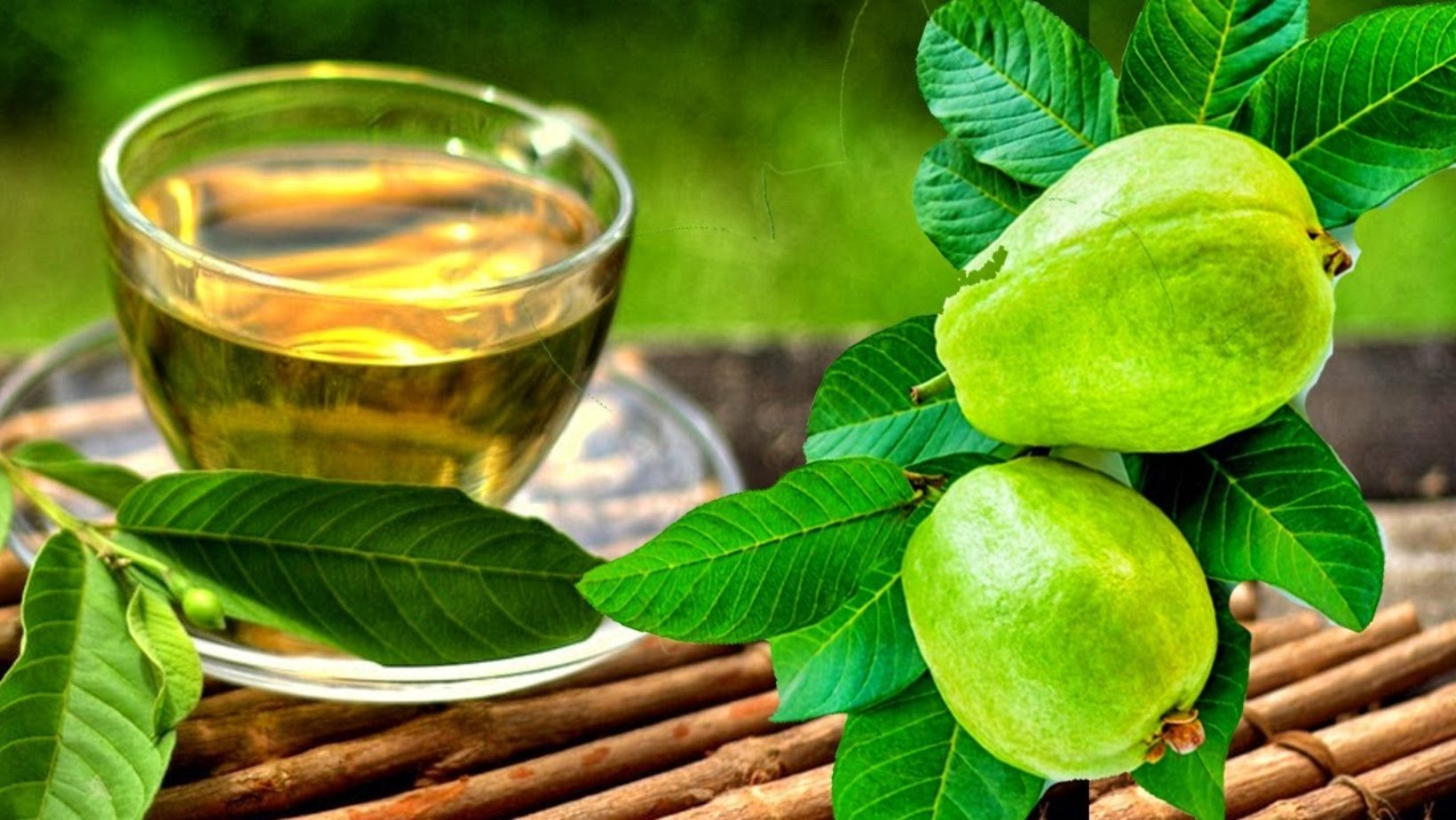 ¿Para qué sirven las hojas de guayaba?