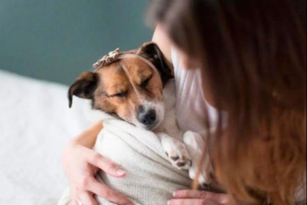 Una mujer abraza a su perro con cariño. La nota habla sobre la nueva ley que reconoce a las mascotas como "seres sintientes" y protege su vínculo familiar.