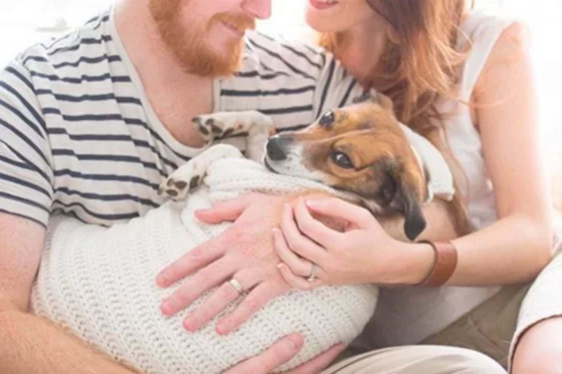 Una pareja abraza a su perro envuelto en una manta. La nota explica la nueva ley de custodia de mascotas en CDMX para casos de separación.