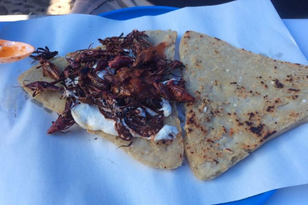 Un antojito mexicano con chapulines.